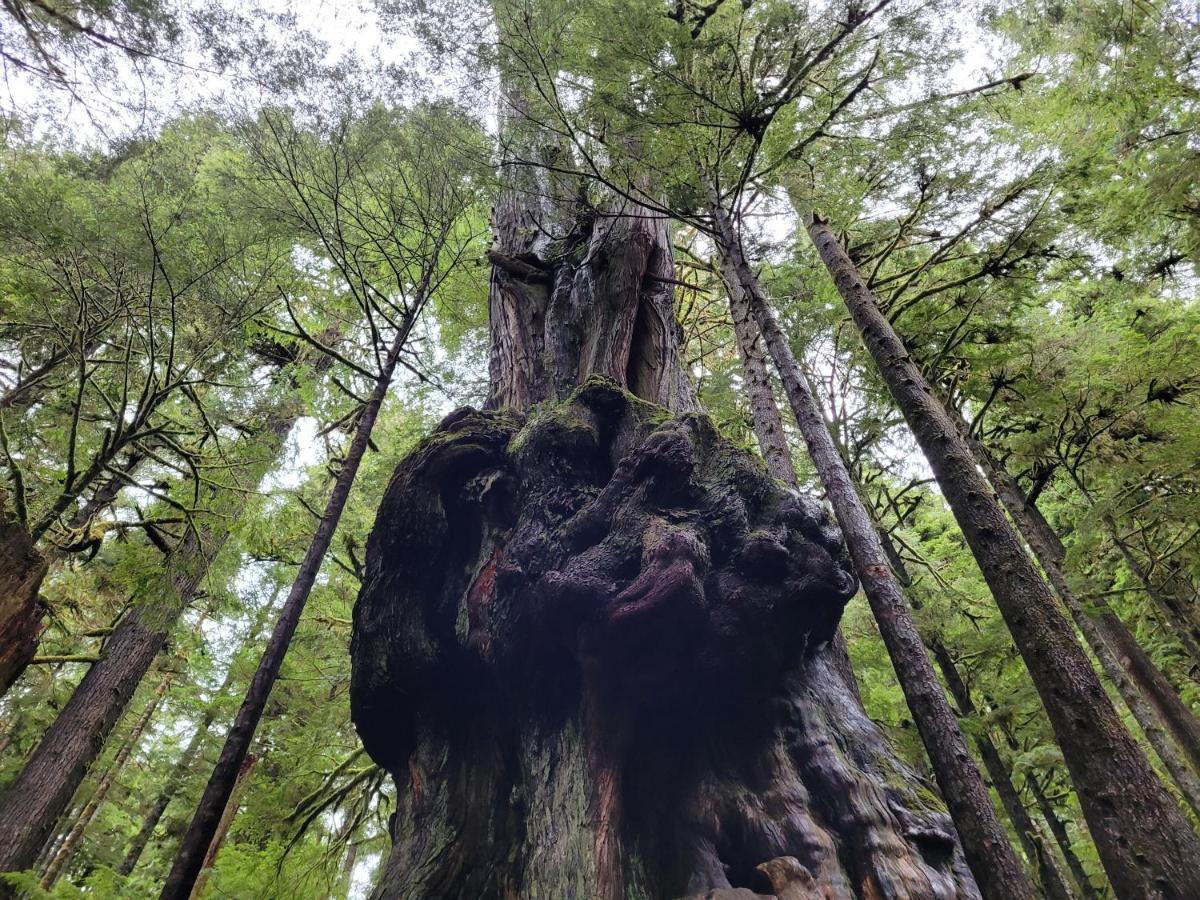 Port Renfrew Vacation Rentals Екстер'єр фото